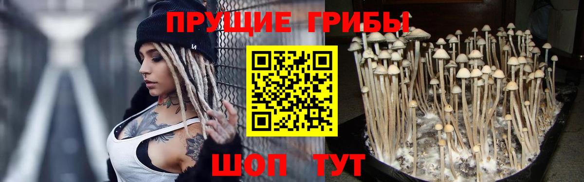 Шумерля  Псилоцибиновые грибы прущие грибы  что такое наркотик  Вход с VPN  Галлюциногенные грибы MAGIC MUSHROOMS 